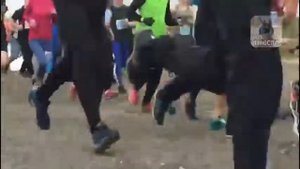 Забег. Уссурийск