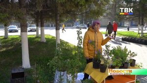 Как помочь растениям после заморозков? Советами делятся учёные-агрономы на районном форуме