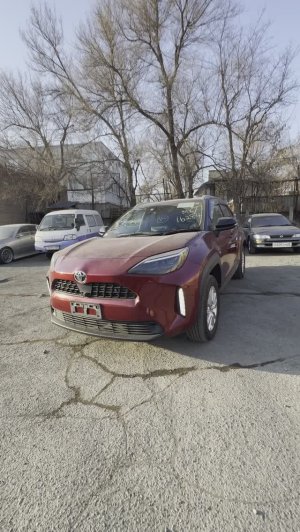 TOYOTA YARIS CROSS 2021 год - СПЕЛАЯ ЧЕРЕШНЯ К 8 марта