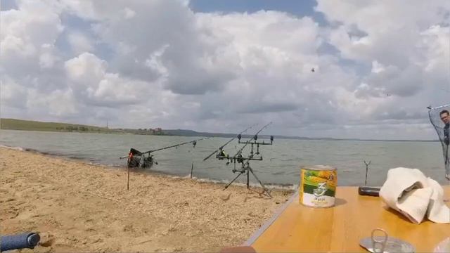 Зять - красавчик! Охота на карпа 🐟 отменная🩵🩵🩵 смотреть онлайн