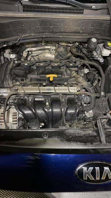 KIA SELTOS задиры на пробеге 86 000
#kia 
#диагностика #обзор #автоподбор #автоэксперт