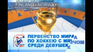 Match for 3rd place. Finland — Norway. Girls Bandy World Championship U-17, Irkutsk, Russia