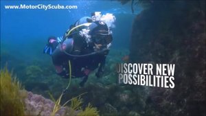 Reasons you should Go Dive Now with Motor City Scuba