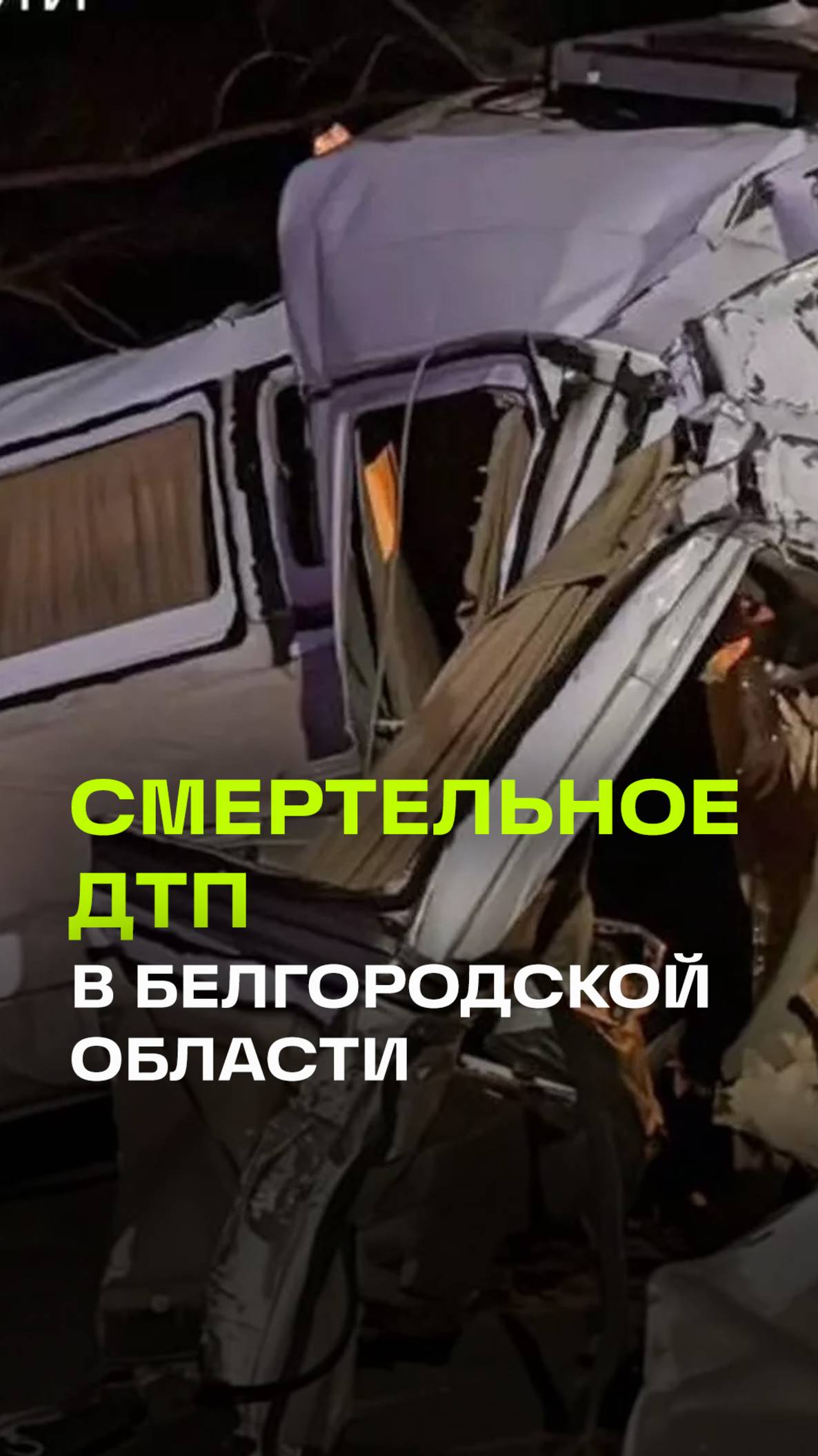Микроавтобус и автобус столкнулись в Белгородской области. Погибли шесть человек. Видео последствий