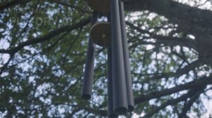 Баллон. Алексей Чернец