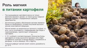 X ВЕБИНАР. Тяжело в учении - легко в поле