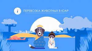 Перевозка животных в ЮАР (Кейптаун / Йоханнесбург)