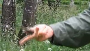 перехват ножика