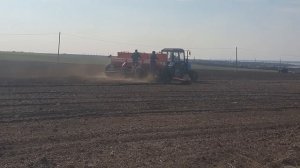 Посев канадского ярового ячменя Stoke.Элита