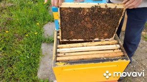 ПОРА РАСШИРЯТЬ! 7.04.2023