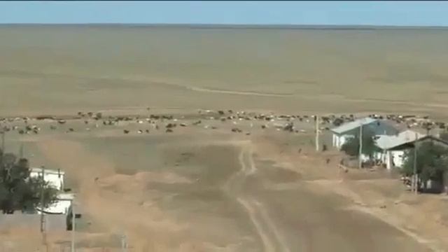 Каратөбе ауданы  Ушана ауылы