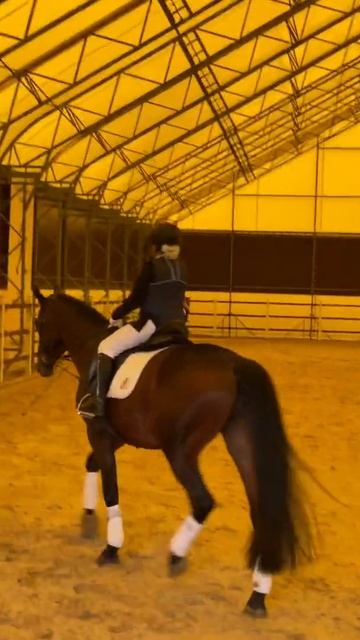 Young rider смотреть онлайн