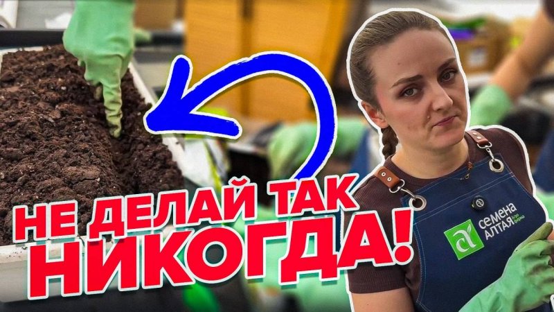 ГЛАВНЫЕ ОШИБКИ ПРИ ПОСЕВЕ