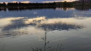 Серёгины озера г Дмитров