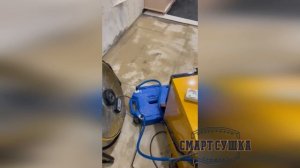 Осушение квартиры, удаление плесени от компании Смарт Сушка
