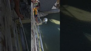 Отбитый человек прыгает с моста поцелуев в Краснодаре 1