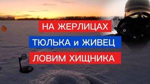 СУДАК на ТЮЛЬКУ и на ЖИВЦА! ЛОВИМ СУДАКА и ЩУКУ НА ЖЕРЛИЦЫ!