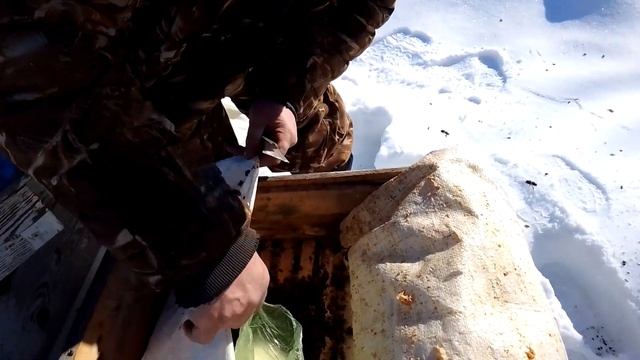 обратить внимание смотреть онлайн