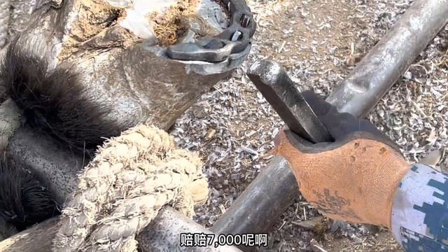 舒壓療愈！大青馬的蹄鐵脫落，蹄釘卡在蹄內影響行走！民間釘掌師用先進電動工具清理蹄子，更換新蹄鐵！大馬舒服了！