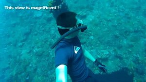 Diving the Hold of Liberty shipwreck