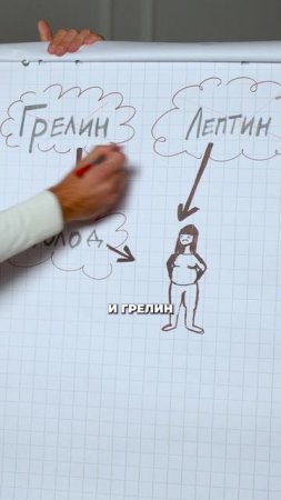 Чем ГРОЗИТ недосып для женщин? #похудение #лишнийвес #женщина