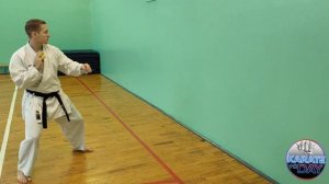 Упражнения с теннисным мячом на развитие ловкости и скорости реакции в КАРАТЭ и БОЕВЫХ ИСКУССТВАХ