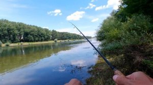 Ловля речного бычка спиннингом на силиконовые приманки в реке Днестр