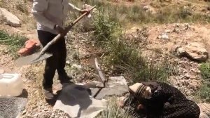 05.06.2024 Добьется ли она успеха План управления водными ресурсами для матери-одиночки