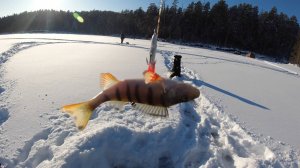 НОЧЬ В ПАЛАТКЕ, ТАКОЙ МОРОЗ НЕ ОЖИДАЛИ, ПЛОВ В АФГАНСКОМ КАЗАНЕ, РЫБАЛКА.