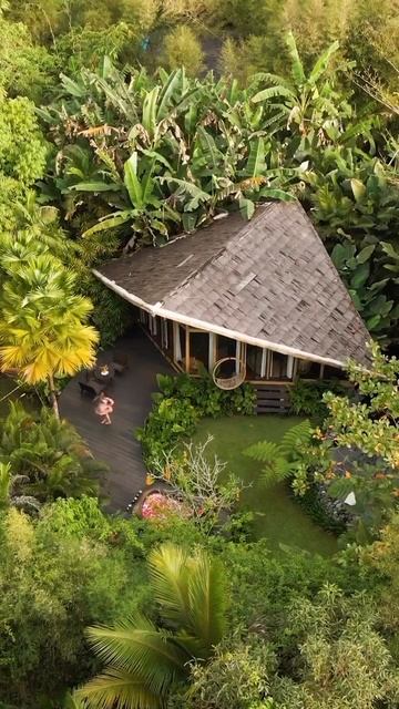 Unite with nature@wangprime1454 @alexawang369 смотреть онлайн