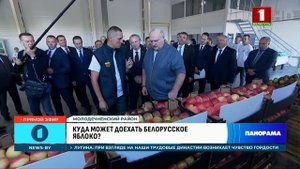 Лукашенко: нам надо, чтобы перестали кланяться импортному яблоку. Панорама