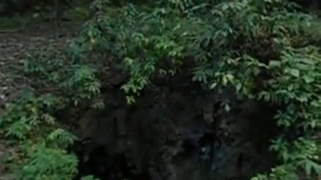 Dusk at Tamana Bat Cave смотреть онлайн