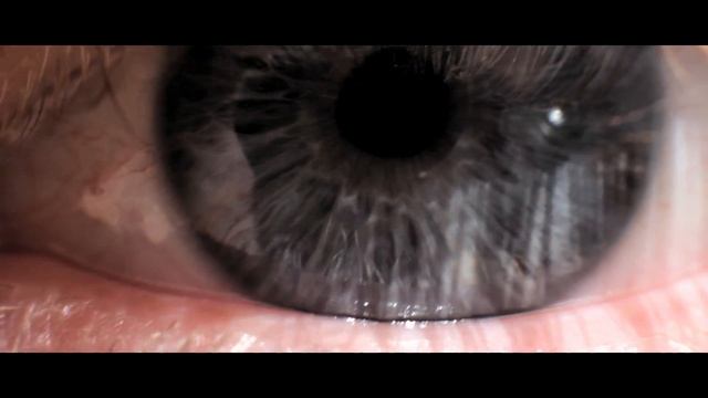 Canon 550D Test Footage - Macro Eye