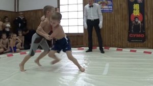 Чемпионат Сумской области по сумо (sumo) среди детей - 2015
