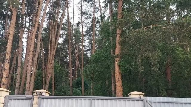 ВЕДЬМА ДАРИТ НОВУЮ ЖИЗНЬ. ВЕДЬМИНА ИЗБА. ИНГА ХОСРОЕВА смотреть онлайн