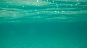 Пляж Оленёвки