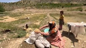 01.05.2024 Выращивание риса матерью-одиночкой почва и успех