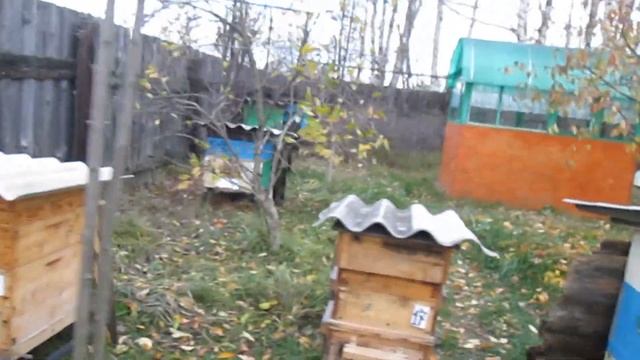 🌿Последний очистительный облёт в 2022 году🌿30.10.2022г.🌿 смотреть онлайн