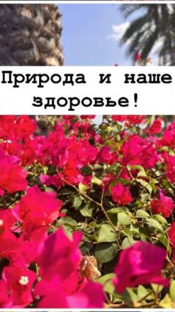 Природа и наше здоровье