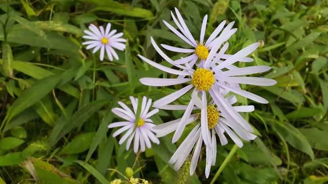 시마첫비행 2ㅂ57초 1080 смотреть онлайн