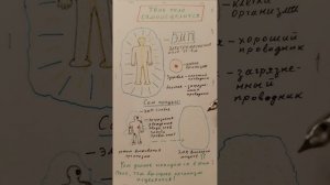 Твоё тело может исцелиться