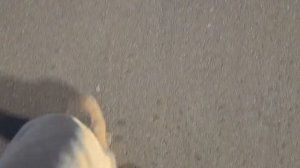 Браво - От Таганки до Кузьминок (bugoff.TV)