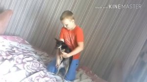 Танцуем под песню марьяна ро