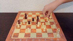 СУПЕР КОМБИНАЦИЯ ОТ АРОНА НИМЦОВИЧА!#chess #шахматыдлявсех #шахматы #комбинация #нимцович