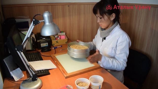 Себилчү материалдын оперативдүү контролдоосу | Оперативный контроль посевного материалы смотреть онлайн