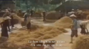 ĐƯA CƠM CHO MẸ ĐI CÀY || Ngọc Thoa - Thu Thanh Trước 1971 |