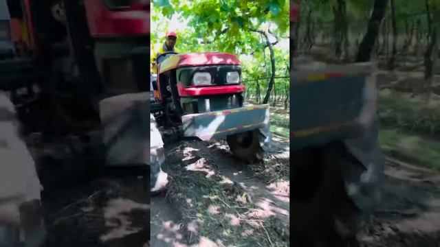 Day 36 mini vlog смотреть онлайн