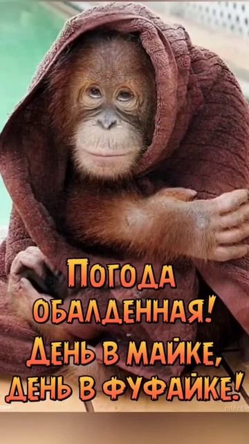 #погода #мирдружбажвачка #работа #юмор #приколы