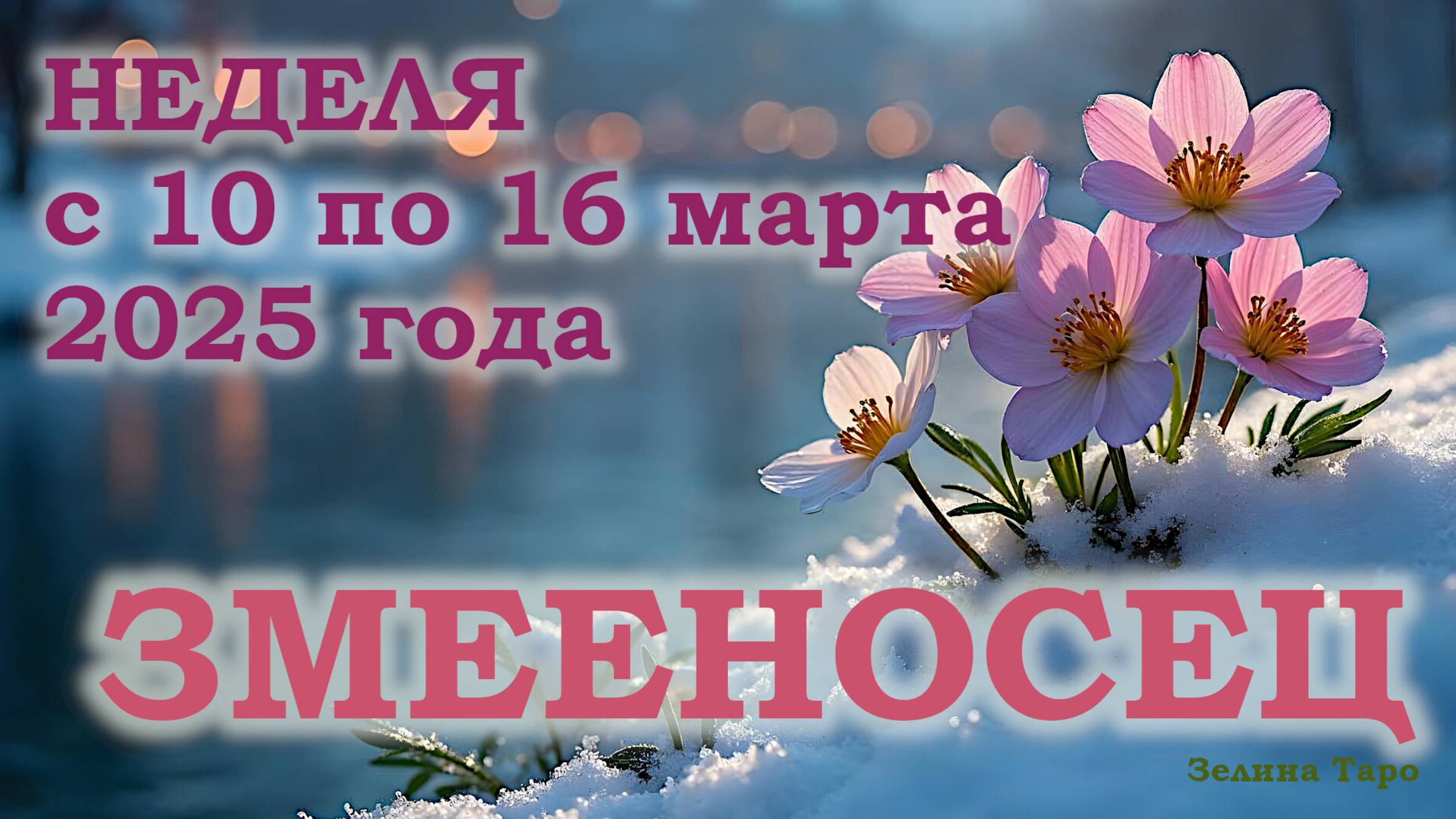 ЗМЕЕНОСЕЦ | ТАРО прогноз на неделю с 10 по 16 марта 2025 года