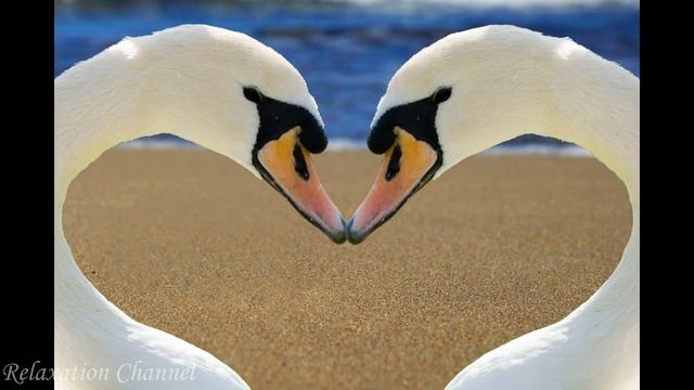 Прекрасная расслабляющая музыка смотреть онлайн